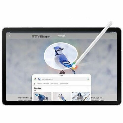 Tablet displaying a Google search for 'Blue Jay' with a stylus on the screen.